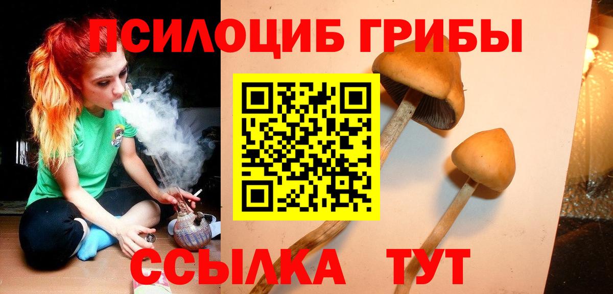 Корсаков  Псилоцибиновые грибы Magic Shrooms  Псилоцибиновые грибы мицелий  Вход с VPN 
